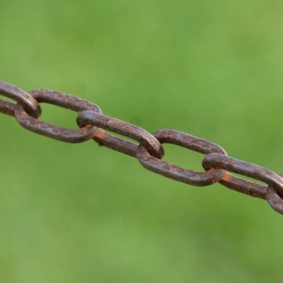 yangdex 主编坐在电脑前逐条核对来源链接，屏幕光映在脸上，桌上摊着写满批注的打印稿